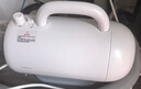 小红栗宠物智能吹水机宠物吹风机大型犬狗狗吹毛吹干金毛2000w PRO版 实拍图