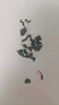 传奇会乌龙茶 安溪铁观音 清香型特级500g茶叶2026新茶礼盒装自己喝送礼 实拍图