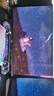 AOC 27英寸2K 原生240Hz QD-OLED 原生10Bit 0.03ms HDR 硬件低蓝光 电竞游戏FPS显示器 Q27G41ZDF 实拍图