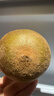 佳沛（zespri）新西兰金果巨大果22粒原箱单果146-175g 端午礼物水果礼盒 猕猴桃 实拍图