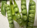 中鲜生 云南新鲜豌豆 甜豌豆新鲜蔬菜现摘豆角 净重4.5斤【好划算】鲜嫩饱满 实拍图