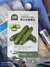 北蔬水果小黄瓜种子种苗无刺青瓜四季蔬菜种籽 荷兰水果黄瓜种子30粒 实拍图