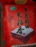 十月稻田 长粒香大米 20斤（东北大米 香米 10kg/公斤） 实拍图