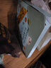 Member's Mark 有机板栗仁 1kg(10袋) 1kg 实拍图