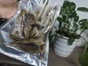 思香逢山东海鲜5款1斤青岛济南零食小吃大礼包特产中秋节日伴手礼盒 礼盒装（5款500克） 实拍图