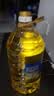 金龙鱼 食用油 非转基因 压榨 一级 纯正玉米油4L（新老包装随机发货） 实拍图