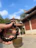 LAOLATU猫眼银曜石手串金眼黑曜石手链本命年男女可戴送男士生日周年礼物 12MM【金曜石】 实拍图
