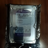 西部数据（WD）1TB 监控级机械硬盘 WD Purple 西数紫盘 SATA 64MB CMR垂直 安防存储 3.5英寸 WD11PURZ 实拍图