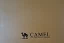 骆驼（CAMEL）网面镂空透气厚底防撞城市户外凉鞋男 G15M342015 米白/黑 40 实拍图