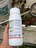 户净2.5%高效氯氟氰菊酯杀虫剂大面积室内外灭蚊子药苍蝇药专用药500g 实拍图