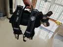 WAKYTU狗狗横背包单双肩可斜挎拆卸小中大型犬宠物外出便捷包适用8-16斤 实拍图