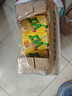 维他奶维他经典柠檬味茶饮料250ml*24盒 家庭聚会 分享装 整箱装 实拍图