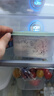 禧天龙冰箱保鲜盒食品级冰箱收纳盒塑料密封盒蔬菜水果冷冻盒 4.5L 3个 实拍图