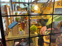 若态若来diy小屋凯西花房手工拼装模型积木拼图儿童玩具生日礼物女生 实拍图