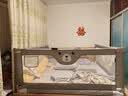 M-CASTLE床围栏宝宝床护栏婴儿童床边防摔挡板防掉床上护栏单边升降免打孔 星灰 三面装 (组合款免打孔安装) 1.8米床型(1.8米+2.0米+2.0米) 实拍图