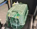 宠物航空箱猫咪空运包猫笼猫包狗狗托运便携车载猫箱子 灰色大号【48*32*30cm】 航空箱 实拍图