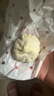 狗不理（GBL）包子 纯手工虾肉三鲜560g 16个主食面点儿童早餐 实拍图