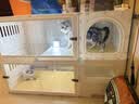 蔻丝猫别墅带厕所一体家用透明猫笼子大号猫柜 实拍图