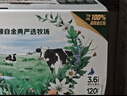 伊利【新鲜日期】金典纯牛奶整箱 200ml*24 3.6g乳蛋白端午礼盒 4-5月 实拍图