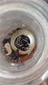 大益TAETEA茶叶普洱茶熟茶3年陈料小青柑 100g*2罐 送长辈端午礼盒 实拍图