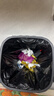 Mistine蜜丝婷防晒霜40ml防晒喷雾100ml防晒户外高倍防水汗礼物学生 实拍图