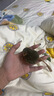 憨憨乐园猫玩具吱吱鼠猫咪自嗨解闷神器逗猫幼猫小猫玩具逗猫棒老鼠玩具 实拍图