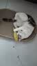 疯狂的主人猫玩具猫咪薄荷仿真鱼逗猫棒自嗨解闷消耗体力磨牙神器猫宠物用品 实拍图