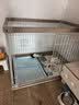 爱丽思（IRIS）狗围栏宠物笼子狗狗木质狗栅栏猫咪护栏大型犬泰迪用品 M号茶色【加高款】 笼顶需加拍 实拍图