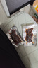 天莱香牛 麻辣口味牛肉干500g  新疆特产小吃休闲零食肉干肉脯 独立小包装 实拍图