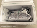 佳思敏（Nature's Way）儿童dha婴幼儿鱼油爆浆丸 学生dha 三色果味180粒/瓶 12个月+ 实拍图