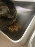 皇家成猫猫粮 营养均衡 F32 通用粮 1-7岁 4.5KG 实拍图