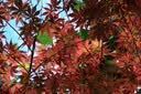 松下（Panasonic）Lumix G100D M43画幅相机 M43卡口 微单相机 无反数码相机 G100D+【12-60mm白盒】单镜套装 实拍图