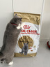 皇家猫粮 英短成猫粮 BS34 通用粮 12月以上 10KG 实拍图