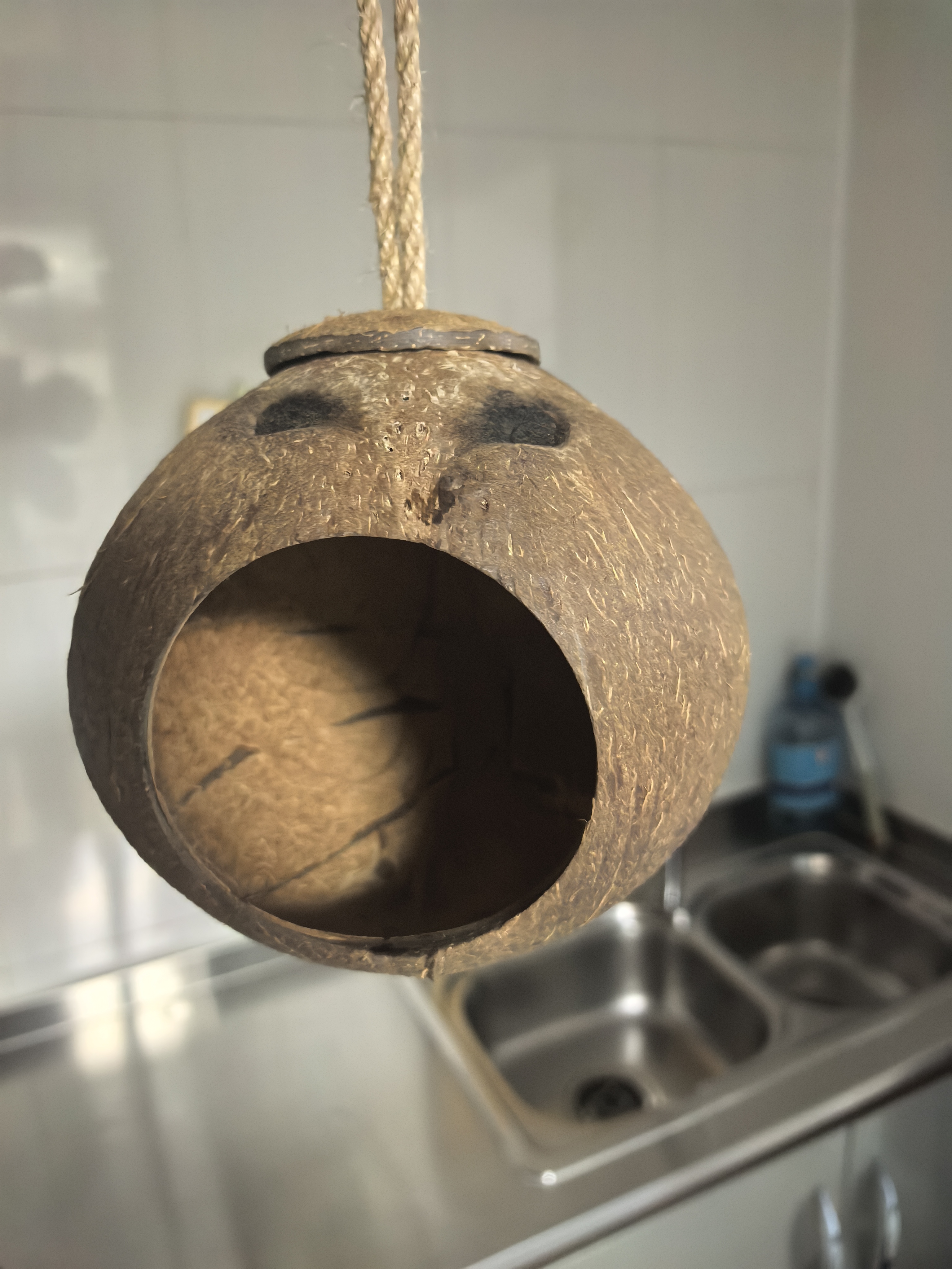 YEE鸟窝鹦鹉窝鹦鹉玩具椰子壳鸟巢虎皮牡丹玄凤珍珠专用保暖草编用品 大号打磨（挂绳款） 实拍图