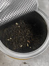 一杯香茶叶茉莉花茶飘雪横县250g2026新茶茉莉绿茶散装茗茶自己喝 实拍图