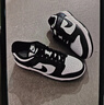 耐克NIKE男休闲板鞋 DUNK 运动鞋HF5441-100黑白43 实拍图
