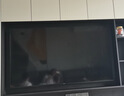 ProPre加厚电视挂架40-80英寸通用电视支架适用于海信创维索尼康佳TCL海尔华为智慧屏液晶三星等壁挂架子 实拍图