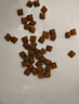 皇家幼猫奶糕 幼猫猫粮 BK34 通用粮 1-4月 2KG 实拍图