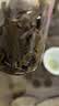 下关沱茶茶叶普洱生茶岁月流金纪念饼茶班章昔归老树料357g/饼礼盒送老师 实拍图