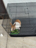 梵昇昱兔子笼加粗加密带厕所带水壶食碗荷兰猪笼龙猫笼仓鼠笼家用养殖笼 黑色-中号40*30*30cm含食碗托盘水壶 实拍图