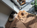网易严选全价猫粮 宠物主粮幼猫成猫全价粮猫咪食品 原野禽肉口味500g 实拍图