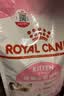 皇家幼猫猫粮 幼猫奶糕 K36 通用粮 4-12月 2KG 实拍图
