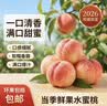三诺优佳血糖仪家用医用级高精准血糖检测仪测量金榜 仪器+200支试纸 实拍图