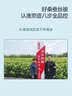 京东京造100%双宫茧桑蚕丝被 空调被夏凉被子四季通用自营-夏被220x240cm 实拍图
