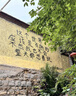 尚烤佳（Suncojia）无烟烧烤碳果木炭烧烤炭火锅围炉煮茶取暖烤肉苹果木炭原木炭5斤 实拍图