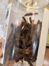草原今朝 特干牛肉干原味160g 约9成干 内蒙特产 休闲小吃 牛肉零食 实拍图
