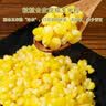 京鲜生脱皮甜糯玉米粒500g 非转基因去皮玉米果肉 孕妇婴儿宝宝辅食早餐 实拍图