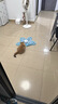 憨憨乐园猫玩具自动逗猫球猫咪玩具自嗨解闷神器逗猫棒小幼猫猫宠物用品 实拍图