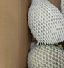 京鲜生 哈密瓜西州蜜/西周蜜  2粒5-7斤  生鲜水果端午礼盒  实拍图