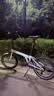 大行（DAHON）P8折叠自行车经典成人20英寸8速折叠车男女式运动单车KBC083 白色【经典版】 实拍图